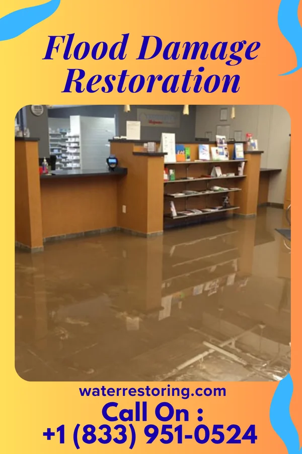 Flood Damage Restoration in Oviedo, FL